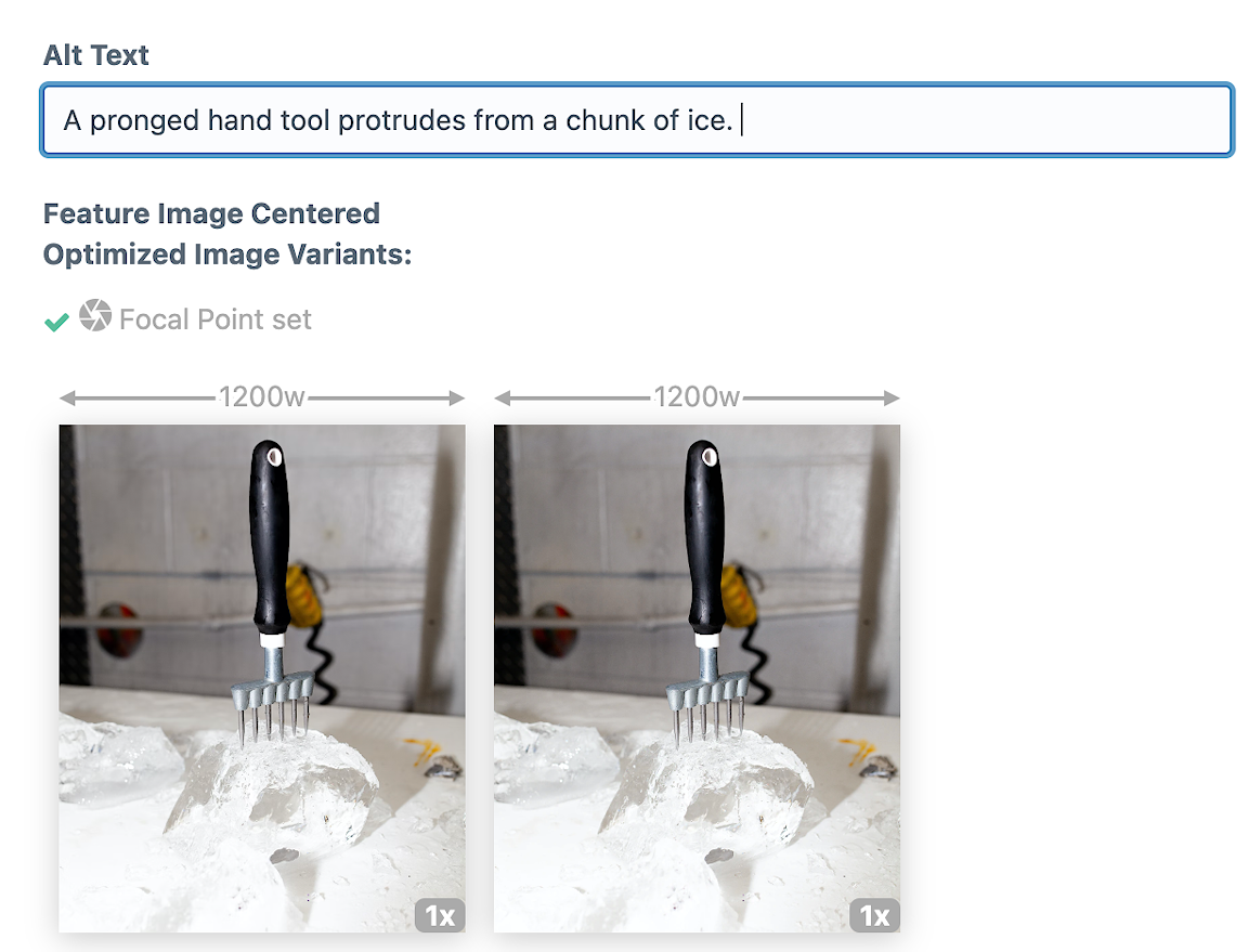 A screenshot of an alt text field for a website.